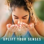 Febreze Air Mist Room Spray - 3 Pack