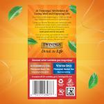 Twining's Christmas Black Tea with Cinnamon & Clove