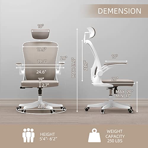 Monhey Ergonomic Office Chair with Lumbar Support