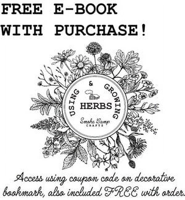 Apple Mint Plant in 2.5-Inch Pot