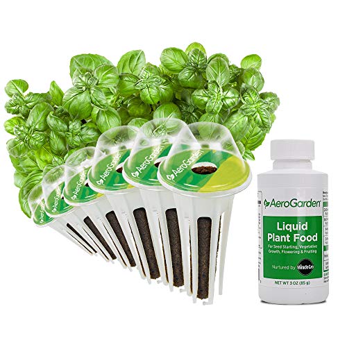 AeroGarden Basil Seed Pod Kit - 6 Pods