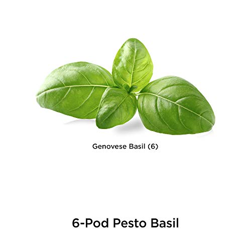 AeroGarden Basil Seed Pod Kit - 6 Pods