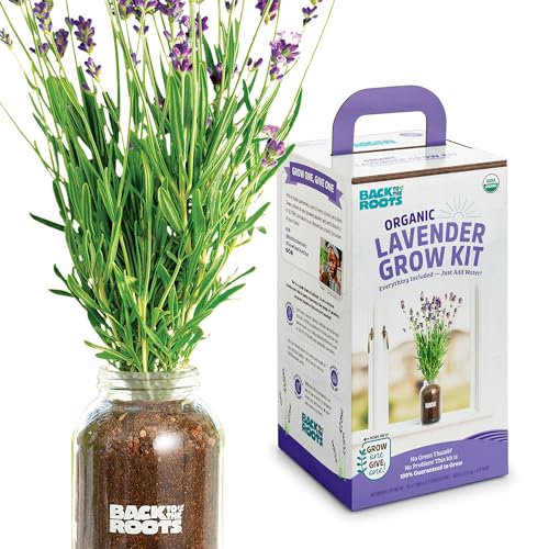 Lavender Windowsill Planter Set - Year-Round Growth