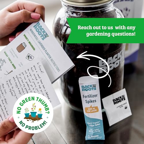 Lavender Windowsill Planter Set - Year-Round Growth