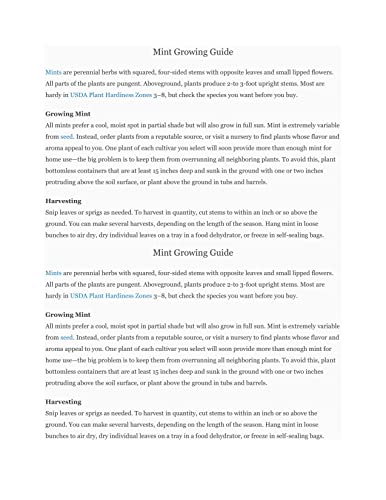 Mojito Mint Plant - Hardy Perennial in 4" Pot