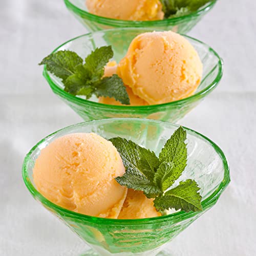 Sweet Mint Herb Plant 4-Pack for Easy Growing