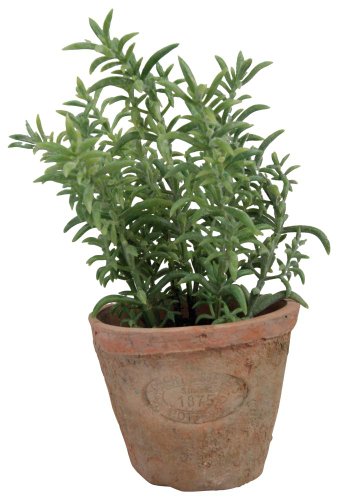 Thyme Potted Plant by Esschert Design, Small