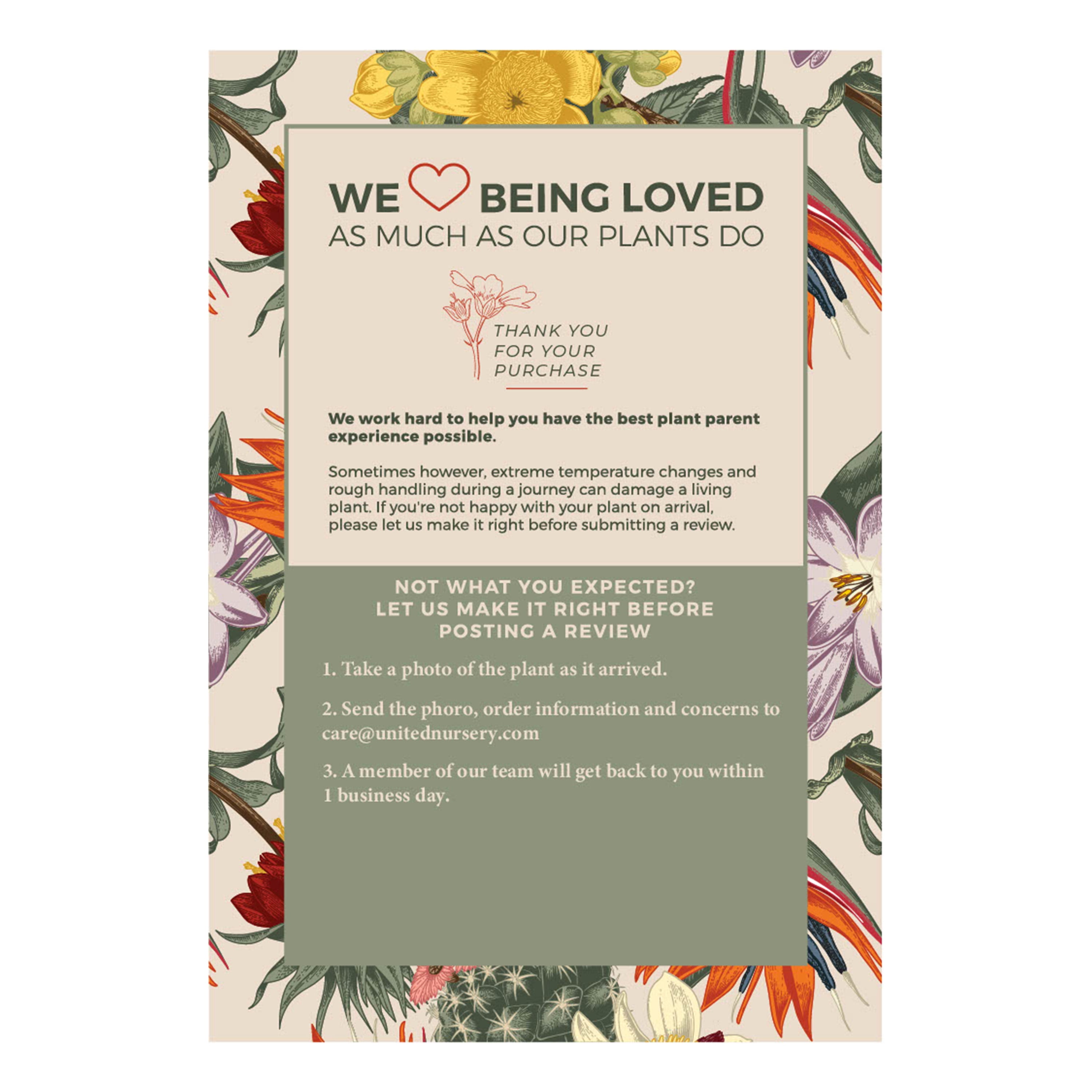 Majesty Palm in 10-Inch Pot – Indoor/Outdoor