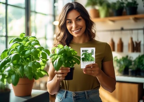 150 Genovese Sweet Basil Seeds for Planting