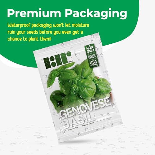 150 Genovese Sweet Basil Seeds for Planting