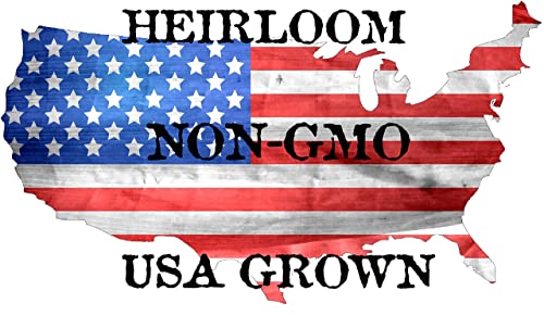 150 Genovese Sweet Basil Seeds for Planting