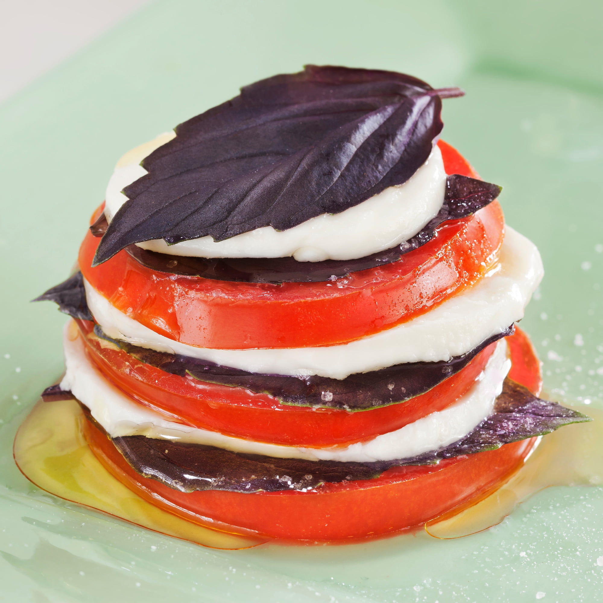 Purple Basil Plants - 2-Pack by Bonnie