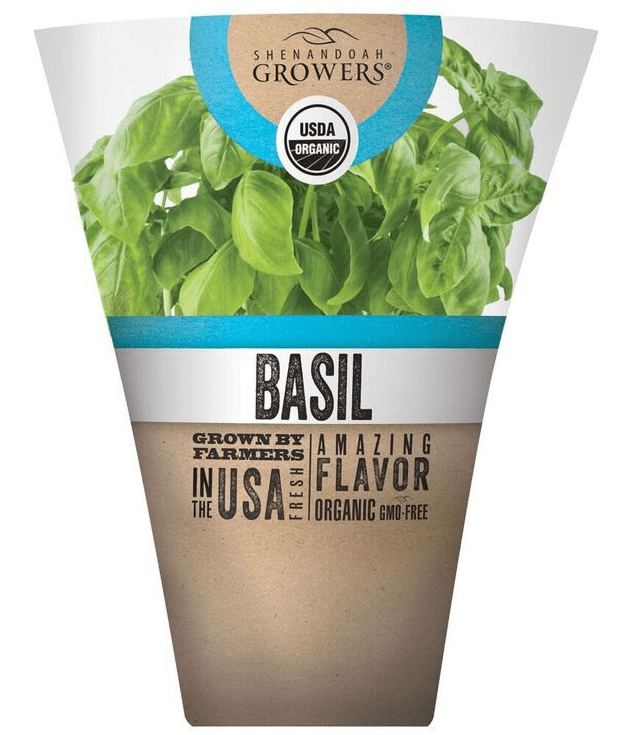 Organic Fresh Potted Basil Plant by Shenandoah