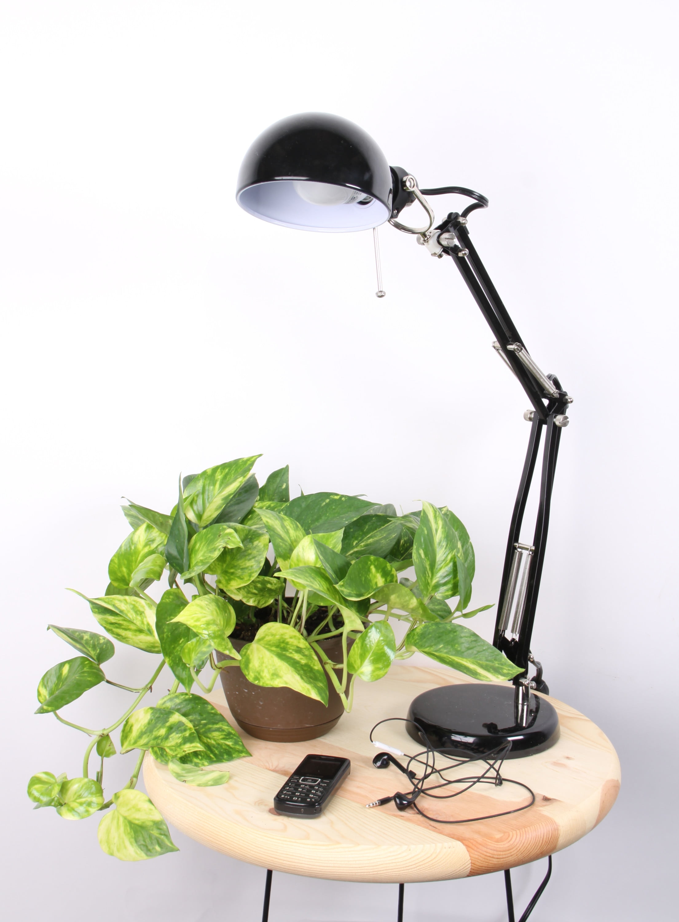 10in. Devil's Ivy Pothos - Easy Care Indoor Plant