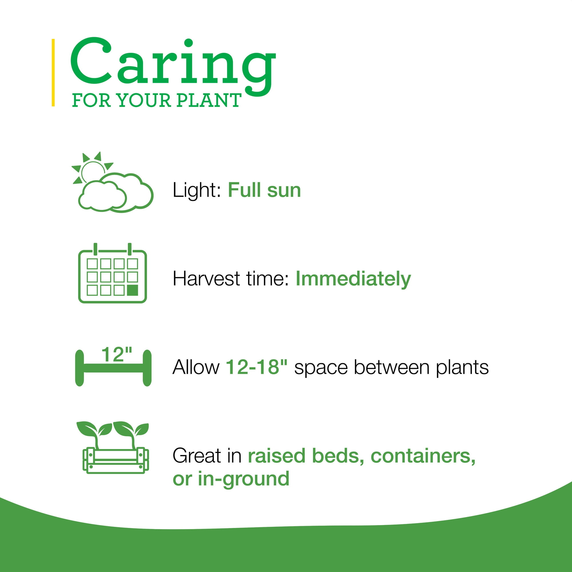 Lavender Plant 2-Pack by Bonnie Plants