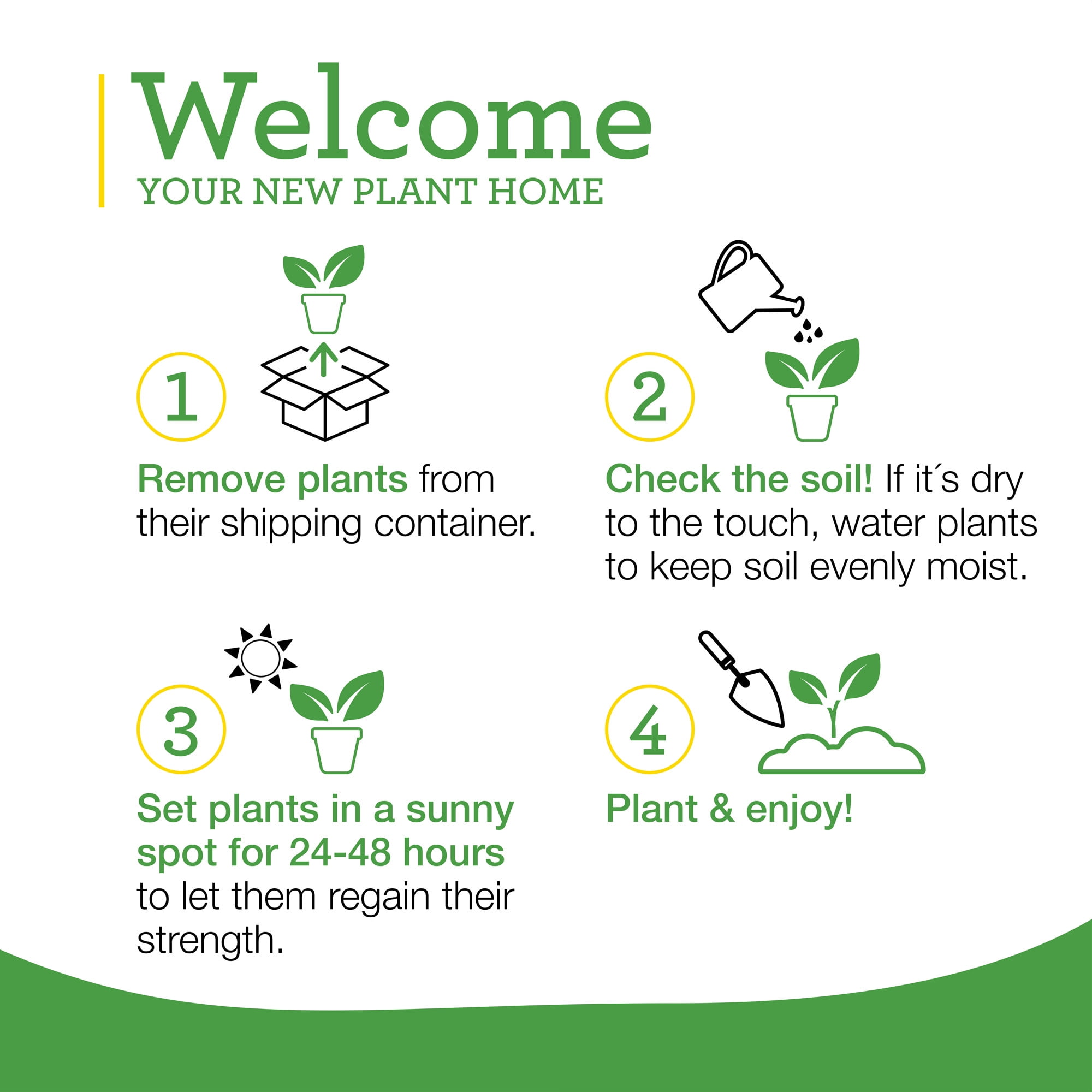 Bonnie Plants Sweet Basil 2-Pack