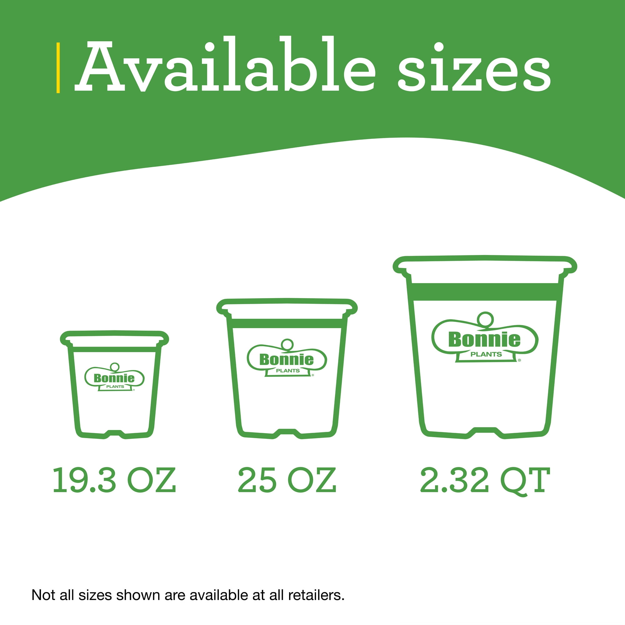 Bonnie Plants Sweet Basil 2-Pack