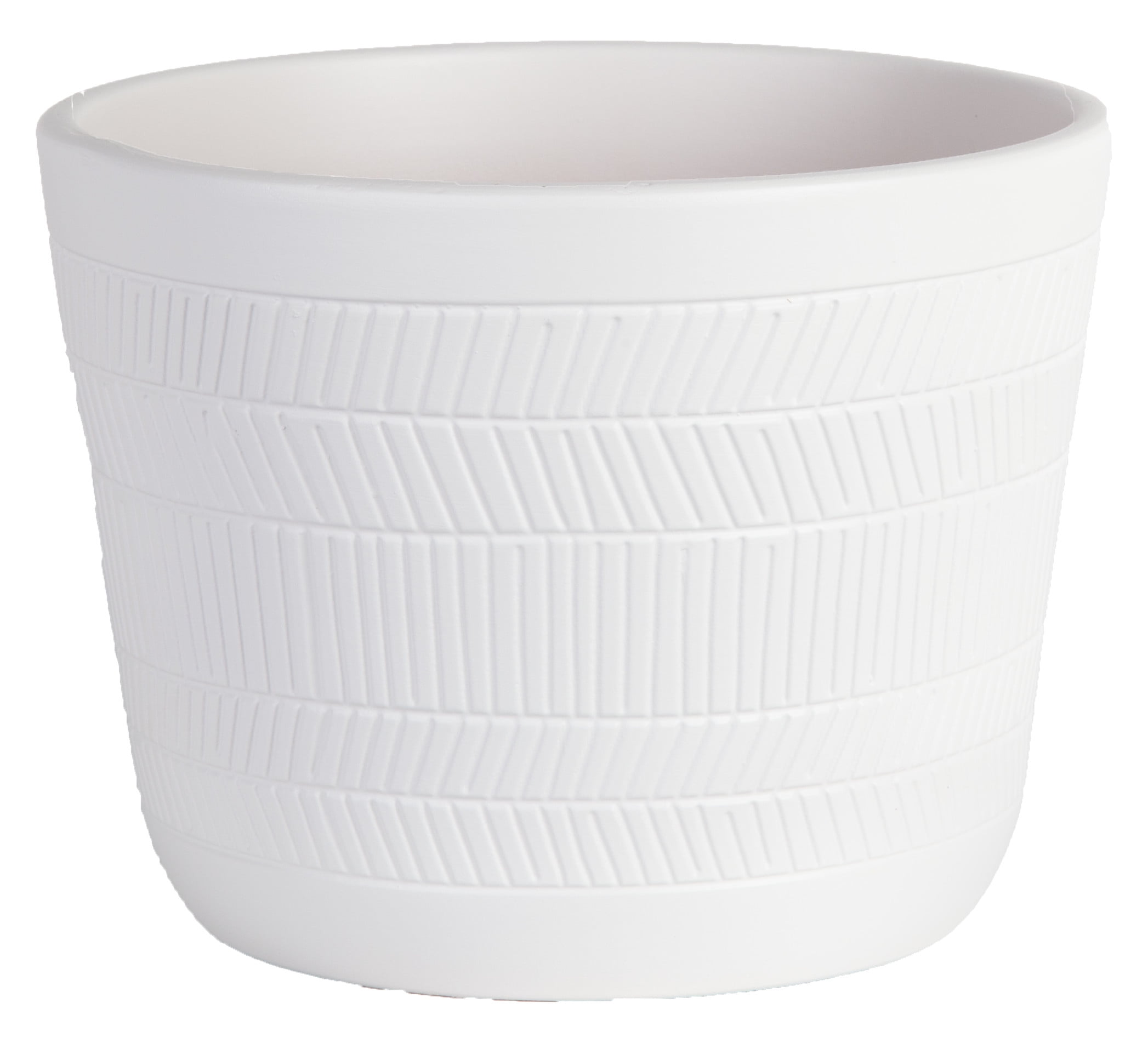 Costa Farms 14in. Live Indoor Green Fern