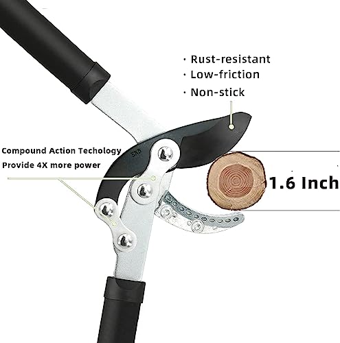 3-Piece Garden Shears Set for Tree Care