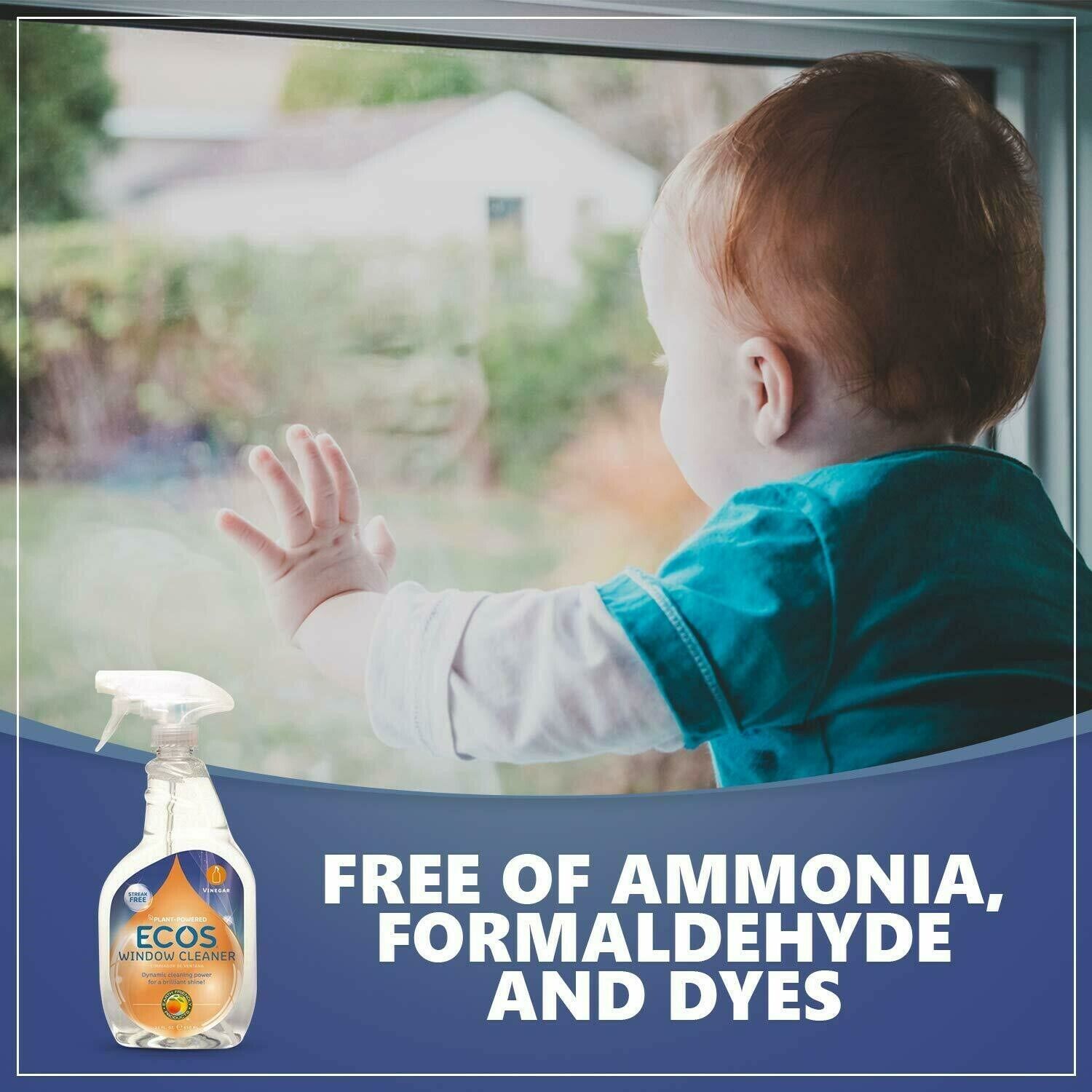 Earth-Friendly Window Cleaner with Vinegar, 22 Oz