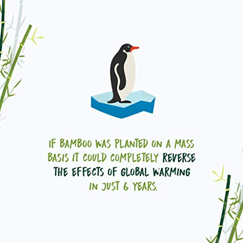 NooTrees 100% Virgin Bamboo Zellstoff Rolls