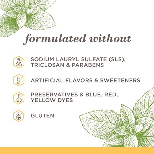 Burt's Bees Fluoride-Free Toothpaste, Zen Peppermint 3-Pack