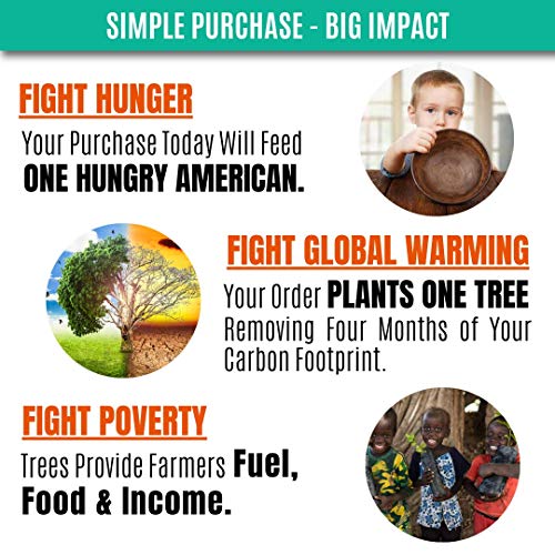 Eco-Friendly Compostable Wooden Utensils Set – 300 Pieces