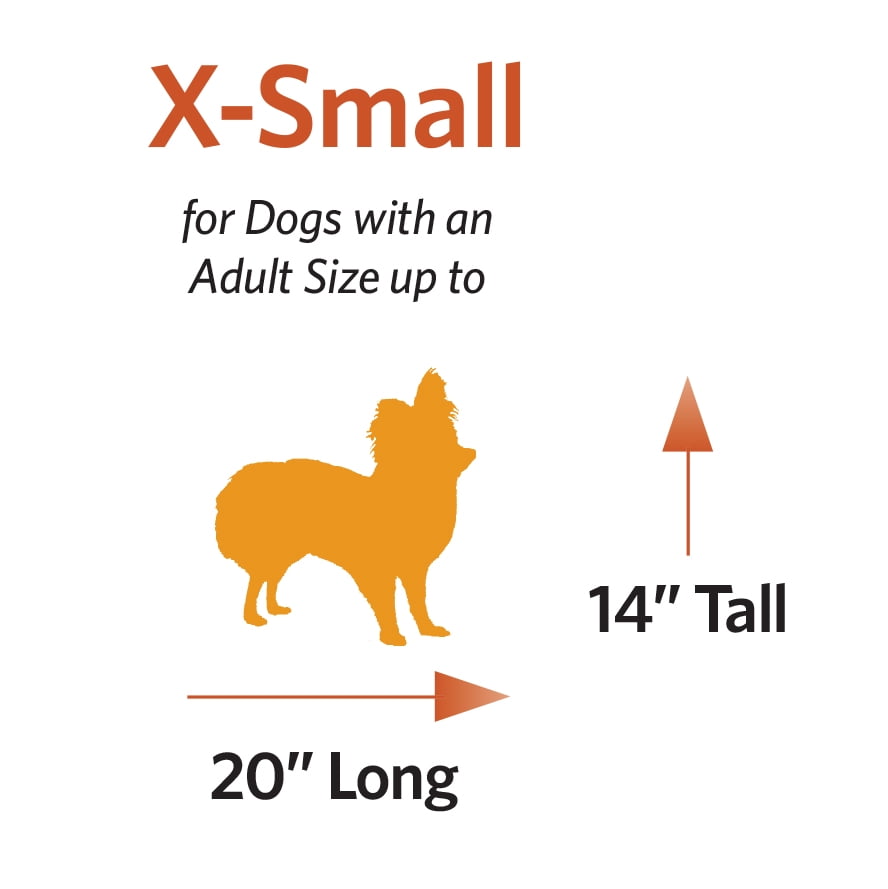 Hard-Sided Pet Carrier for Small Dogs and Cats