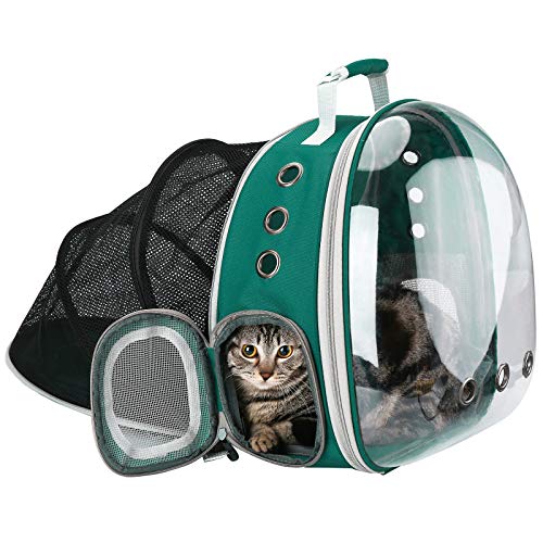 Expandable Travel Backpack for Bengal Cats