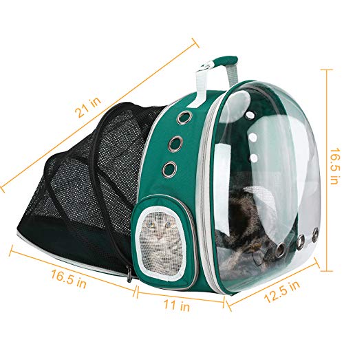 Expandable Travel Backpack for Bengal Cats