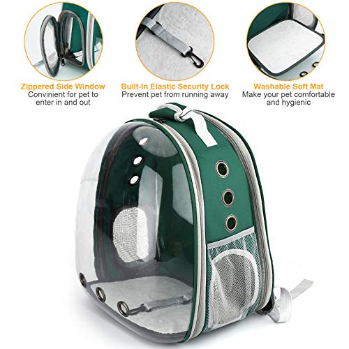 Expandable Travel Backpack for Bengal Cats