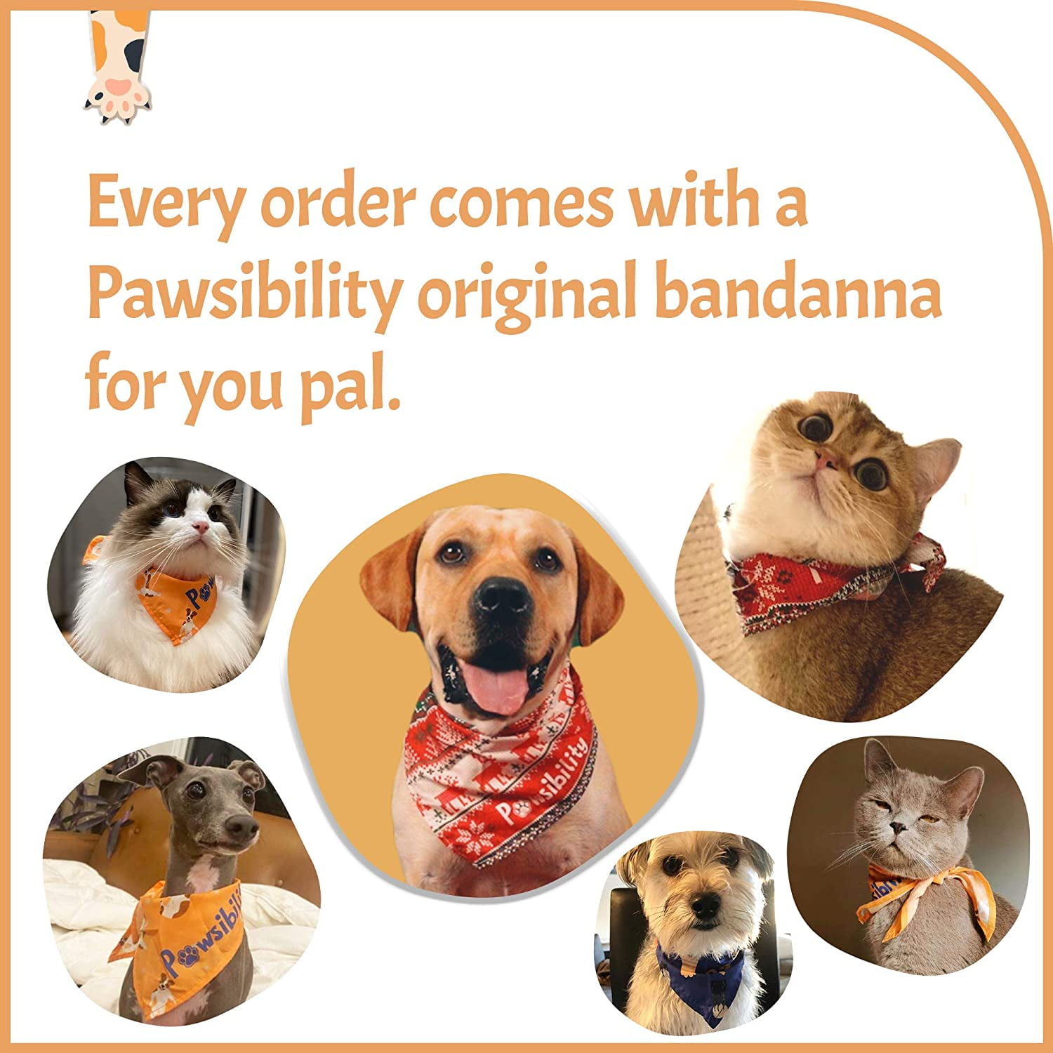 Bengal Cat Nail Clipper with LED Light