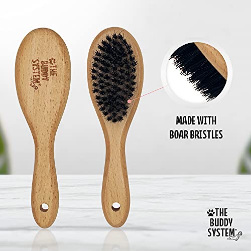 Buddy System Brush for Bengal Cats with Boar Bristles