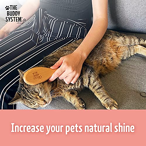 Buddy System Brush for Bengal Cats with Boar Bristles