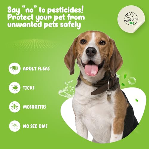 Natural Flea & Tick Shampoo for Cats