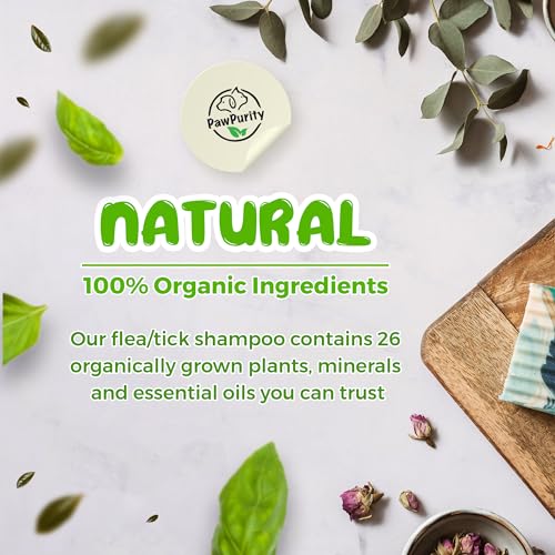 Natural Flea & Tick Shampoo for Cats