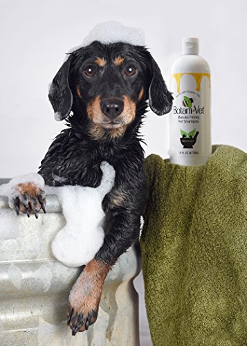Organic Manuka Honey Shampoo for Cats 16 Oz