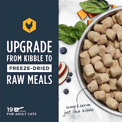 Grain-Free Freeze-Dried Raw Meals for Cats