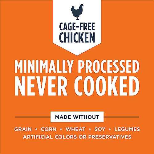 Grain-Free Freeze-Dried Raw Meals for Cats