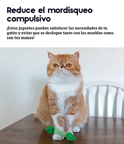 Petstages Mint Dental Chew Toy for Cats