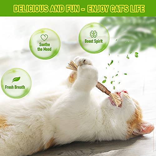 Catnip Silvervine Sticks for Bengal Cats (3PCS)
