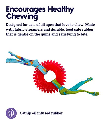 Petstages Catnip Dental Chew Wheel Toy