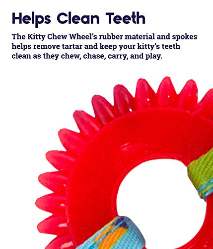 Petstages Catnip Dental Chew Wheel Toy
