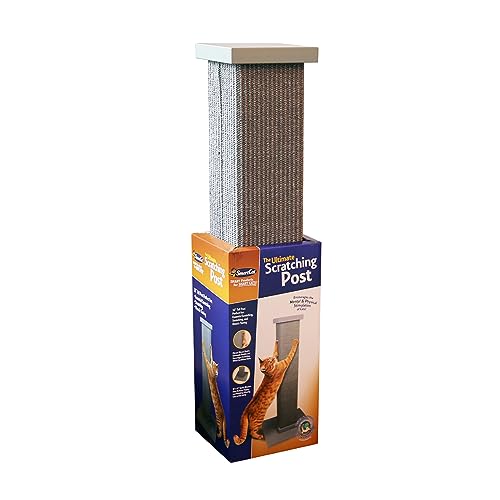 Gray Large 32-Inch Scratching Post for Bengals