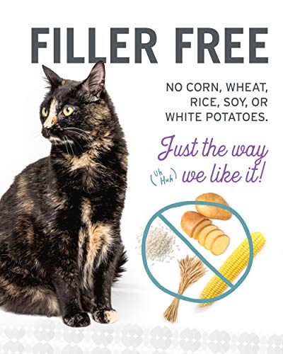 I And Love And You Grain Free Cat Food