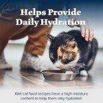 Blue Buffalo Wilderness High Protein Cat Wet Food