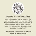 Special Kitty Non-Clumping Unscented Natural Clay Cat Litter, 20 lbs
