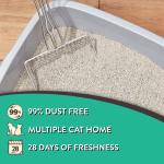 (2 pack) Special Kitty Clumping Clay Cat Litter, Fresh Scent, 20 lbs Jug