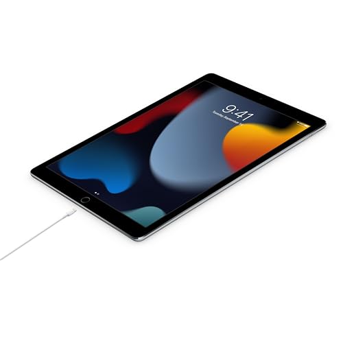 Apple Lightning to USB-C Cable (1 m)