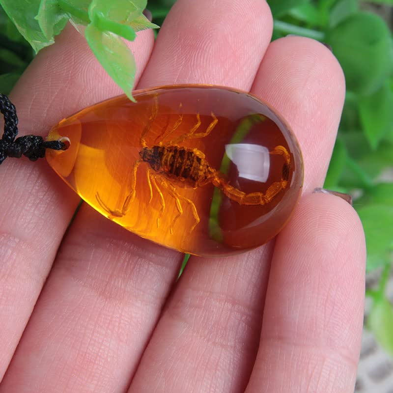 Natural Amber Insect Inclusion Scorpion Pendant Necklace
